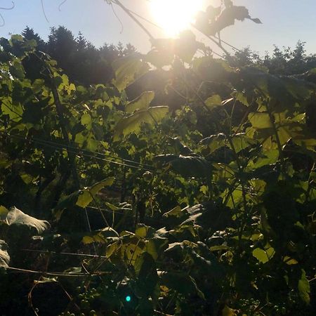 FehringWinzerhaeuschen Kern公寓 外观 照片