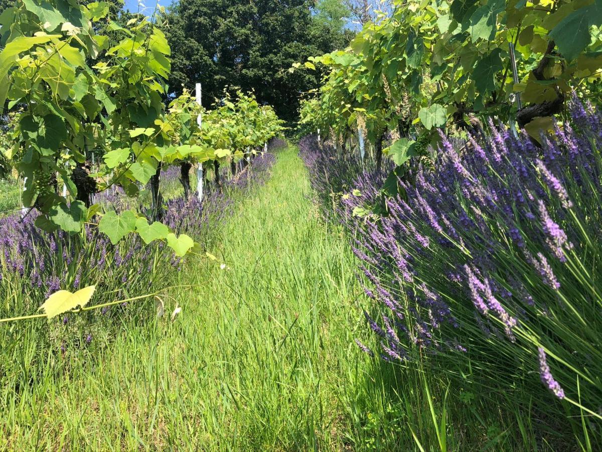 FehringWinzerhaeuschen Kern公寓 外观 照片